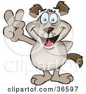 Poster, Art Print Of Peaceful Light Brown Dog Smiling And Gesturing The Peace Sign With His Hand