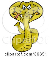 Clipart Illustration Of A Green Cobra Snake With Fangs