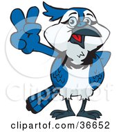 Poster, Art Print Of Peaceful Blue Jay Cyanocitta Cristata Smiling And Gesturing The Peace Sign With His Hand