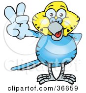 Peaceful Blue And Yellow Budgie Smiling And Gesturing The Peace Sign With His Hand