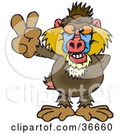 Poster, Art Print Of Peaceful Baboon Smiling And Gesturing The Peace Sign With His Hand