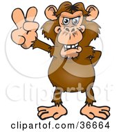 Peaceful Chimpanzee Smiling And Gesturing The Peace Sign With His Hand