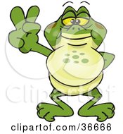 Peaceful Bullfrog Smiling And Gesturing The Peace Sign With His Hand