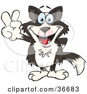 Poster, Art Print Of Peaceful Border Collie Dog Smiling And Gesturing The Peace Sign With His Hand