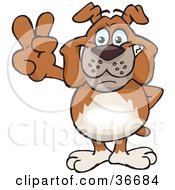Clipart Illustration Of A Peaceful Bulldog Smiling And Gesturing The Peace Sign With His Hand by Dennis Holmes Designs