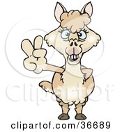Poster, Art Print Of Peaceful Alpaca Smiling And Gesturing The Peace Sign With His Hand