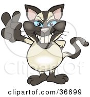 Poster, Art Print Of Peaceful Siamese Cat Smiling And Gesturing The Peace Sign With His Hand