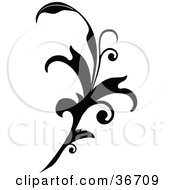 Clipart Illustration Of A Black Silhouetted Elegant Leafy Scroll Design by OnFocusMedia