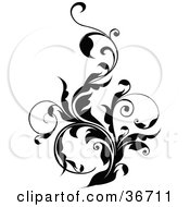 Clipart Illustration Of A Thick Black Vine Flourish With Curly Tendrils by OnFocusMedia