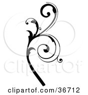 Clipart Illustration Of A Black Silhouetted Elegant Leafy Branch Design