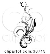 Clipart Illustration Of An Elegant And Curly Black And White Design Scroll