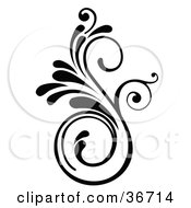 Clipart Illustration Of An Elegant Black Design Accent