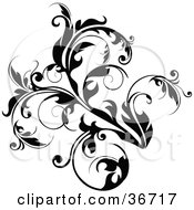 Clipart Illustration Of A Lush Black Flourish With Curly Tendrils by OnFocusMedia