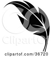 Black Silhouetted Elegant Leaf Design Element