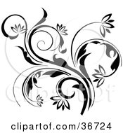 Clipart Illustration Of A Black Curling Flowering Vine Accent