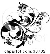 Clipart Illustration Of A Thick Black Vine Flourish With Curly Tendrils And Flowers