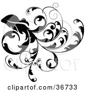 Clipart Illustration Of A Thick Black Vine Branch Flourish With Curly Tendrils