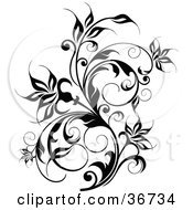 Clipart Illustration Of A Thick Black Flowering Vine Flourish With Curly Tendrils