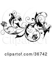 Clipart Illustration Of Floral Blooms On A Thick Black Vine Flourish With Curly Tendrils