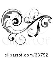 Clipart Illustration Of A Black Leafy Vine Design Accent With Curling Leaves