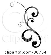 Poster, Art Print Of Black And White Design Scroll With Curly Edges