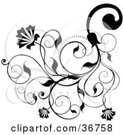 Clipart Illustration Of An Intricate Black Floral Flousih With Blooms Tendrils And Leaves