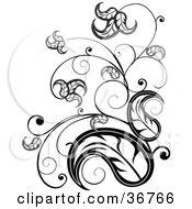 Clipart Illustration Of An Elegant Black And White Leafy VineScroll Design Accent