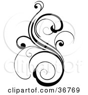 Poster, Art Print Of Black Curly S Shaped Design Accent
