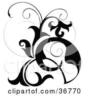 Clipart Illustration Of A Scroll Design Element Silhouette