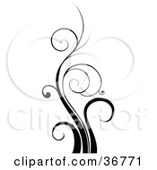 Clipart Illustration Of A Tall Black Design Element Of Curling Blades Of Grass