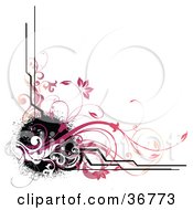 Poster, Art Print Of Corner Design Of Black Splatters Lines And Pink Vines