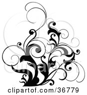 Clipart Illustration Of A Black And White Design Accent Of Curly Leaves