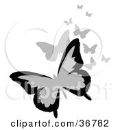 Poster, Art Print Of Group Of Black And Gray Flying Butterflies