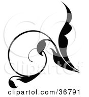 Clipart Illustration Of A Curly Black Silhouetted Leaf Scroll Design Element