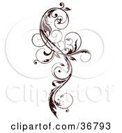 Clipart Illustration of a Dark Brown Grungy Curly Vine Scroll Design Element by OnFocusMedia #COLLC36793-0049