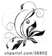 Clipart Illustration Of A Curly Grass Design Element With Leaves