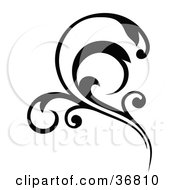 Clipart Illustration Of A Black Design Accent With Curly Leaves