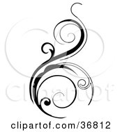 Clipart Illustration Of A Black Vertical Scroll Design Element