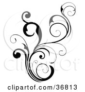 Clipart Illustration Of A Floral Black Scroll Design Element
