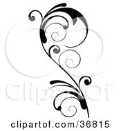 Clipart Illustration Of A Tall And Delicate Black Design Accent Of A Curly Vine