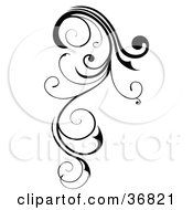 Clipart Illustration Of A Long Black Curly Design Element Scroll