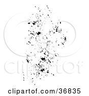 Black Grunge Splatter Texture