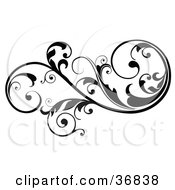 Clipart Illustration Of A Black Silhouetted Leafy Scroll Design Element
