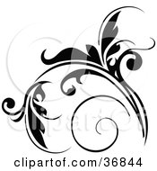 Poster, Art Print Of Floral Design Element In Black With Tendrils