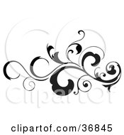 Clipart Illustration Of A Black Silhouetted Leafy Scroll Design Element With Tendrils