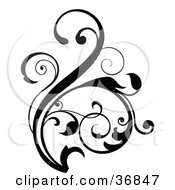 Clipart Illustration Of A Curling Floral Design Element Scroll In Black