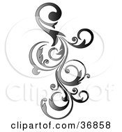 Poster, Art Print Of Gradient Vertical Curly Vine Scroll Design