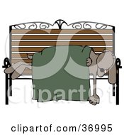Poster, Art Print Of Homeless Dog Sleeping With A Blanket On A Bench