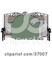 Poster, Art Print Of Homeless Elephant Sleeping On A Bench