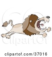 Poster, Art Print Of Pissed Lion Leaping